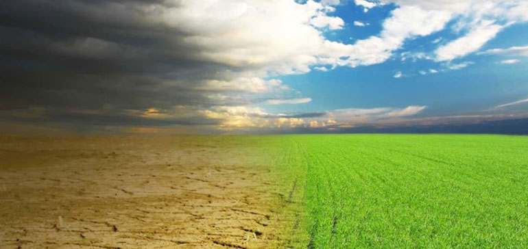 ¿Qué empresas pueden ser las ganadoras en una cartera a largo plazo contra el cambio climático?